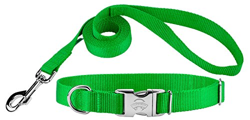 Country Brook Design Premium Nylon Dog Collar and Leash - Hot Lime Green - L