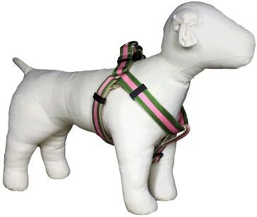 Paw Paws USA Prep School Buffy Dog Collar