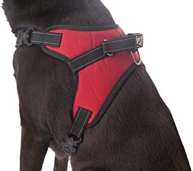2PET No Pull Dog Harness with Padded Mesh by Safety Reflective Straps, D-Ring - Training, Walking, Service Dogs, Hiking - Adjustable Size - XLarge Red