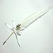 Ayangyang Vintage Deluxe Natural Swan Fountain Pen Nib Calligraphy Writing Set Feather Quill Pen with Empty Ink Pot (White)