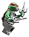 LEGO, Teenage Mutant Ninja Turtles, Mutation Chamber Unleashed Building Set (79119)