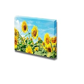 Canvas Prints Wall Art - Sunflower Field Under Sunny Sky | Modern Wall Decor/Home Decoration Stretched Gallery Canvas Wrap Giclee Print. Ready to Hang - 12" x 18"