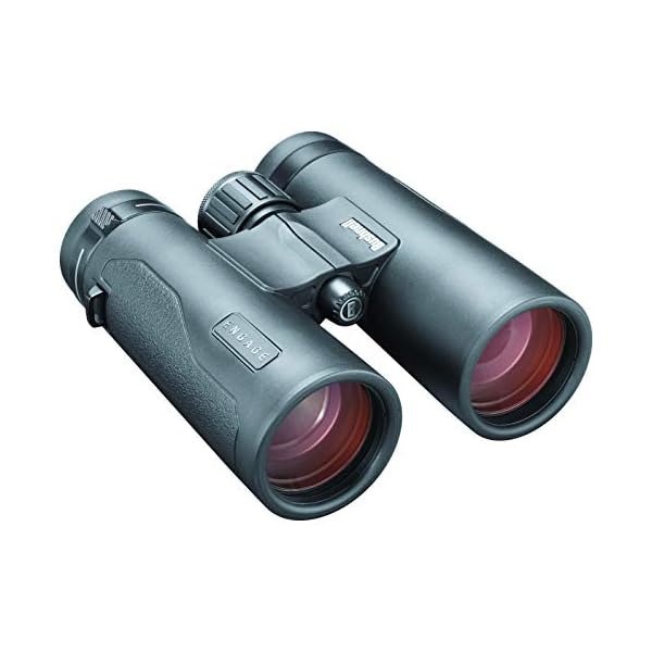Bushnell Fernglas Engage DX 10x42 - Profi Fernglas, brilliante Bildqualität, detailreich, robust, mehrfach beschichtete Linsen, BENDX1042 – Bild 3