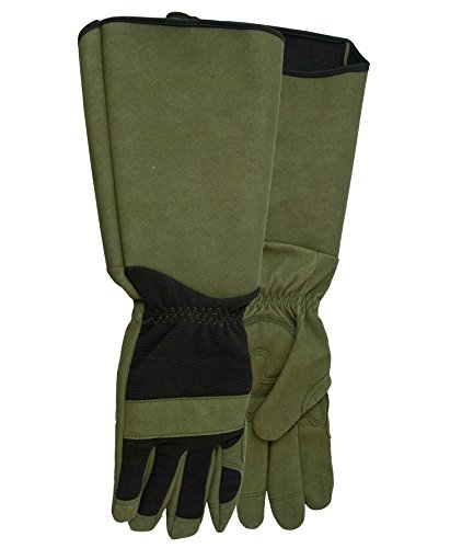 Game of Thorns Garden Glove for Men
