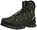 Salomon Men's Quest 4D 2 GTX-M, Iguana Green/Asphalt/Dark Titanium, 12.5 M US