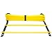AIQI Speed & Agility Training Ladder for Improving Speed, Agility, Fitness, Leg Strength and More with Black Carrying Bag (Yellow, 12-Rung 20FT)