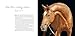 Horse: A Portrait: A Photographer's Life With Horses