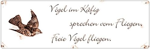 Get Fliegen spruch Free HD Fliegen Spruch