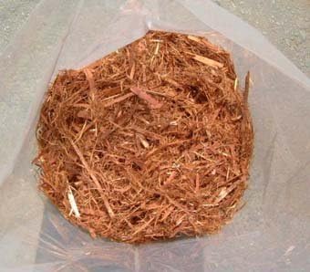 Amazon クリプトモス 約１０l Lサイズ 用土