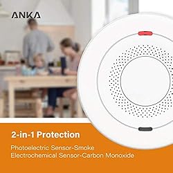 Smoke and Carbon Monoxide Detector Alarm,10-Year