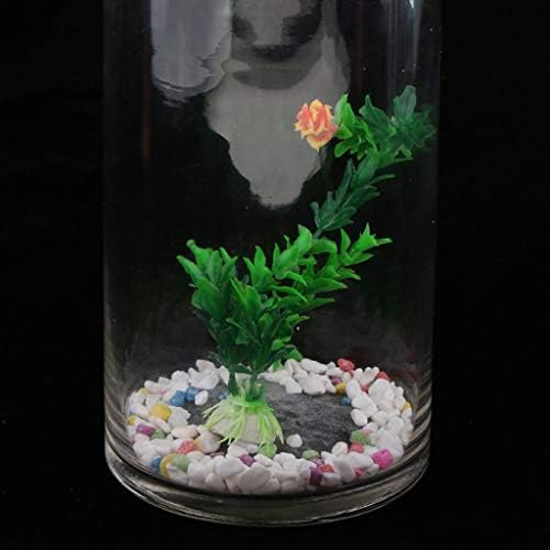 円筒形 ガラスタンク 小型生態系水槽 魚タンク 金魚タンク 観賞用 全2種 1 B07lcq5sgd 2 114円 人気海外一番 100 品質保証 全品送料無料 即日出荷 Sale開催中