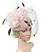 Urban CoCo Women's Bow Feather Net Veil Fascinator Hair Clip Bridal Hat (#3-Nude Pink)