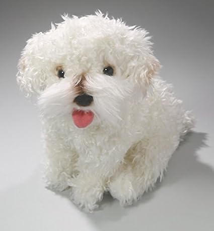 french poodle pictures