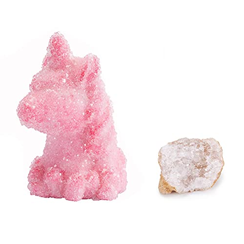 NSKER Science Kids Unicorn Crystal Kit Easy DIY Stem Toys Lab Experiment Results, A Great Educational Gift with Crystal Unicorn for Kids & Teens, Boys & Girls Age 6+ (Pink)