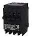 Murray MP24020 One 40-Amp Double Pole Two 20-Amp Single Pole Circuit Breaker