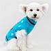 NACOCO Pet Clothes The Owl Sweater The Cat Dog Sweater Christmas Pet Jacket Dog Apparel (Blue,M)