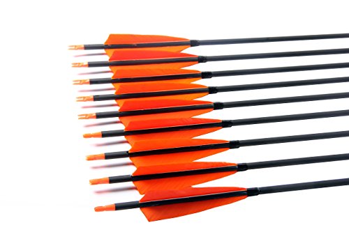 image for PG1ARCHERY 30 Inch Archery Hunting Target Arrows, Carbon Arrows 5