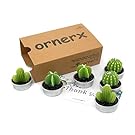 ornerx Decorative Cactus Candles Tea Light Candles 6 Pcs