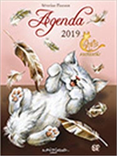 Agenda 2019 Les Chats Enchantes Amazon Fr Pineaux Severine Livres