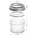 SXUDA Mason Jar BPA-Free 4oz Mini Canning Jars with Regular Lids and Bands Jelly Jars for Jam, Honey, Wedding Favors, Shower Favors, Baby Foods, DIY Magnetic Spice Jars, 40 PACK