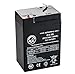 AJC Battery Compatible with Lithonia ELB06042 6V 4.5Ah Emergency Light Battery
