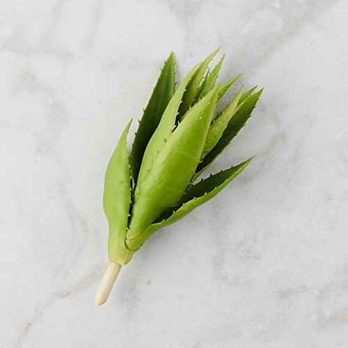 Factory Direct Craft Green Vinyl Closed Aloe Plant Pick | For Indoor or Outdoor Decor
