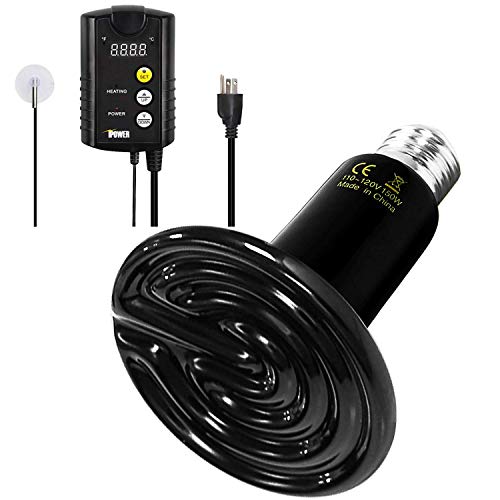 Stay Warm & Cozy Top 10 Thermostats for Your Heat Lamp! Furry Folly