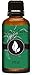 Eternal Essence Oils Pine Needle 30ml Premium Fragrance Oil - for Candle, Soap Making, Aromatherapy, Diffusers, Home Care, & Humidifiers