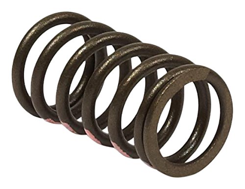 Briggs and Stratton 845589 Valve Spring