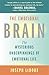 The Emotional Brain: The Mysterious Underpinnings of Emotional Life