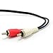 kenable 5 Pin Male Din Plug to 2 x RCA Phono Male Plugs Audio Cable 1.2m (~4 feet)
