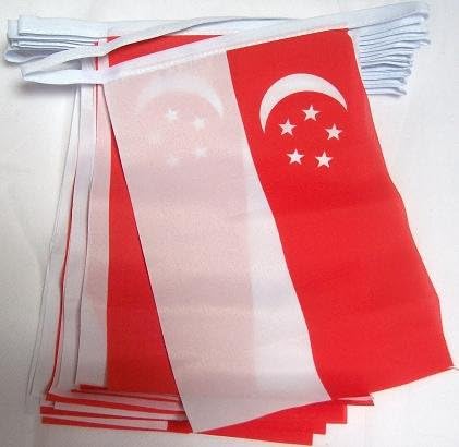 AZ FLAG Singapore Bunting Flag, 20 Ft Garland with 20 Small Singaporean Flags 8'' x 6'', 100% Polyester String Pennant, 6 meters