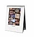 Rifle Paper Co 2017 Desk Calendar (Alice in Wonderland)