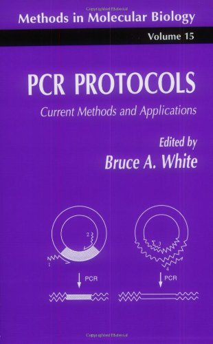 PCR Protocols: Current Methods and Applications (Methods in Molecular Biology)From Brand: Humana Press