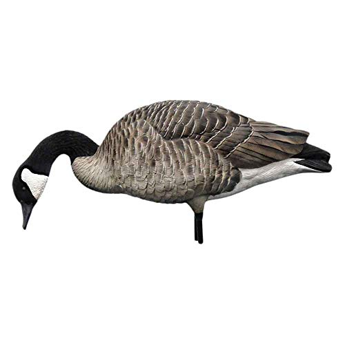 Avian-X Honker Feeder Full Body Goose Decoys 6 Pack | Pricepulse