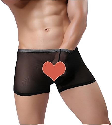 KEKEOCIA Men's See-Through Boxer Brief Sexy Breathable Mesh Bikini Shorts Underwear (Black, Medium)