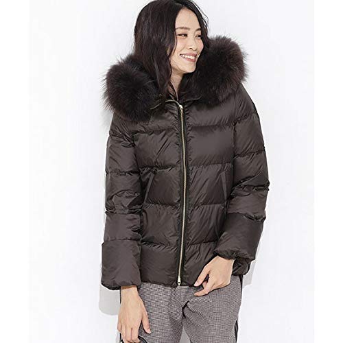 ロイヤリティフリーnano Universe 西川ダウン レディース 人気のファッショントレンド