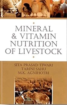 evorons-projects.net