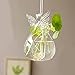 Syaglass Set of 4 Cute Clear Glass Angel Shape Flower Plant Hanging Vase Wedding Decor