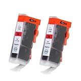 HI-VISION HI-YIELDS ® Compatible Ink Cartridge Replacement for Canon BCI-6 (2 Magenta, 2-Pack)