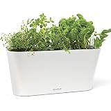 Aquaphoric Herb Garden Tub - Self Watering Passive Hydroponic Planter + Fiber Soil, Keeps Indoor Kitchen Herbs Fresh and Growing for Weeks on Your Home Windowsill. Compact, Attractive and Foolproof.