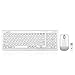 Perixx PERIDUO-710 Wireless Compact Keyboard and Mouse Combo Set, Membrane Chiclet Keys with Numeric Keypad, Piano White, US English Layout
