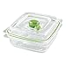 FoodSaver B01AJJ1WNA FA4SC35810-000 Fresh Vacuum Seal Food and Storage Containers, 4-Piece Set, Clear, Multi