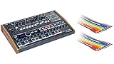 Arturia Minibrute 2S Bundle with 2x Hosa CMM-845