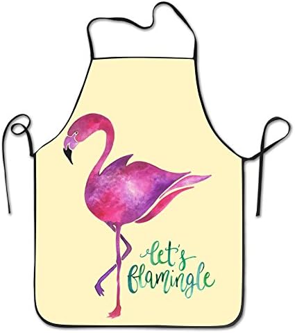 Bird Dancer Awesome Kitchen Apron Adult Aprons For Women