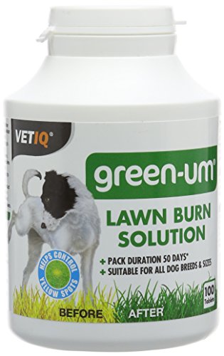 Mark And Chappell Ltd Vetiq Green-um Lawn Burn Solution