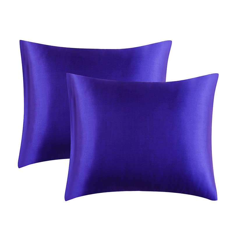 2 Pack Satin Silk Pillow Case Soft Pure Mulberry pillow Case Cover for Hair and Skin with Envelope Closure (Blue, Standard(50x75cm))