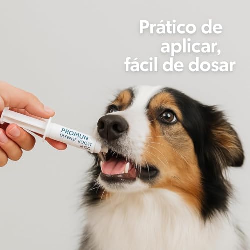Kit 3 Suplementos Cães Prom Defesa Boost para Cães 3ml Probiótico Omega 3 Suporte Nutricional Casa Buritis