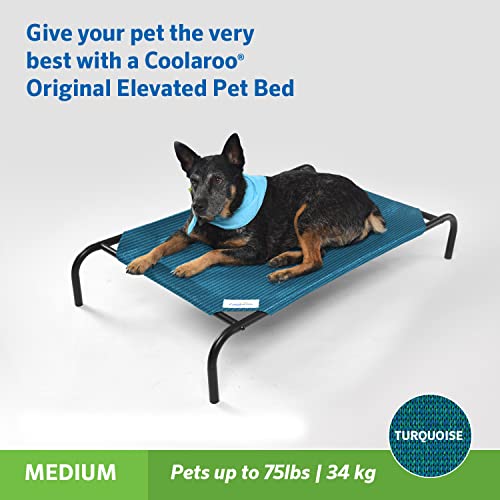 Coolaroo The Original Cooling Elevated Pet Bed Pricepulse