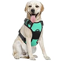 PAWABOO Dog Harness, No Pull Pet Vest Harness Adjustable Reflective Oxford Soft Padded Easy Control Handle for Outdoor Walking, Suitable for Small, Medium, Large Dogs, Lake Blue